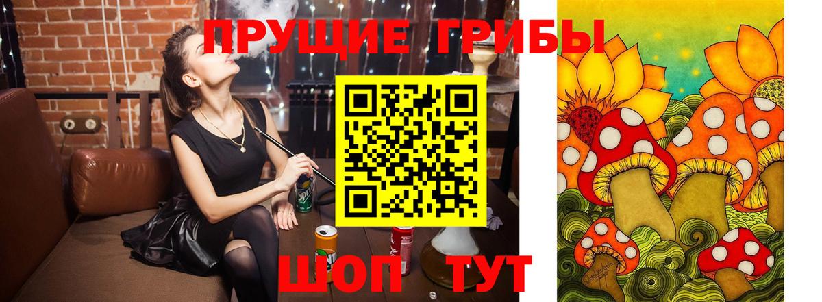 Галлюциногенные грибы MAGIC MUSHROOMS  Вход с VPN  Псилоцибиновые грибы ЛСД  Новоалтайск 