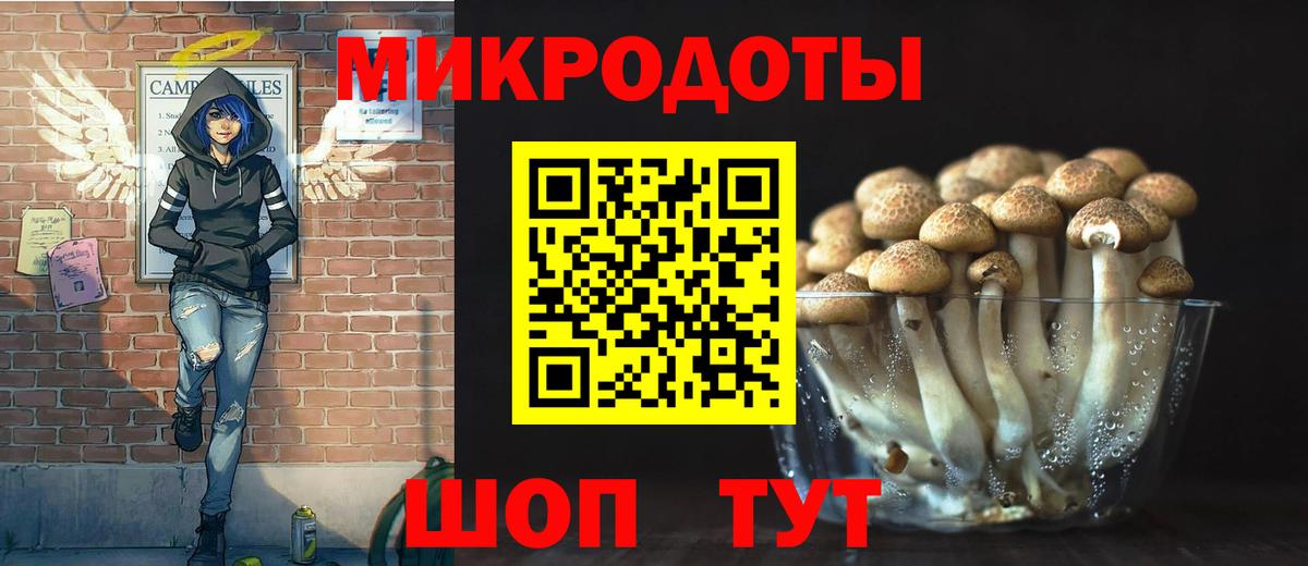 Псилоцибиновые грибы Psilocybe Новоалтайск